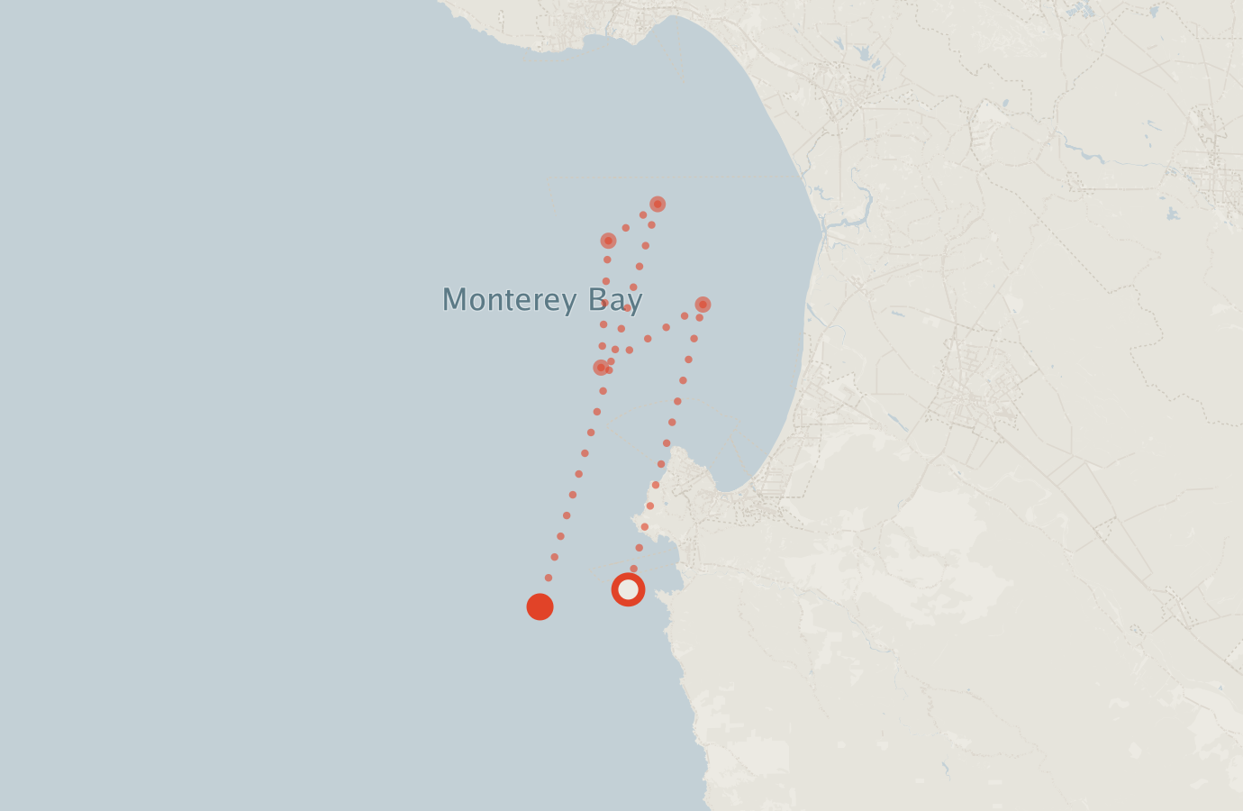 Activity map — real sighting points on an OpenStreetMap basemap