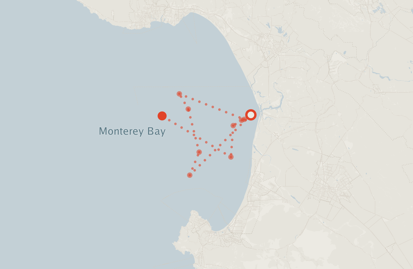 Activity map — real sighting points on an OpenStreetMap basemap