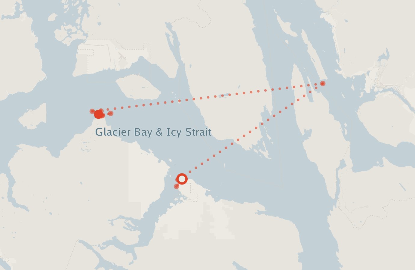 Activity map — real sighting points on an OpenStreetMap basemap