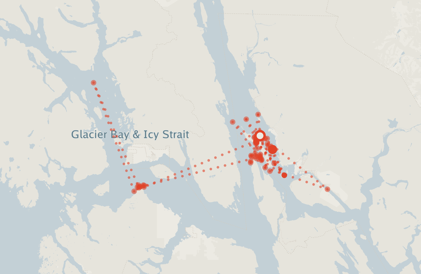 Activity map — real sighting points on an OpenStreetMap basemap