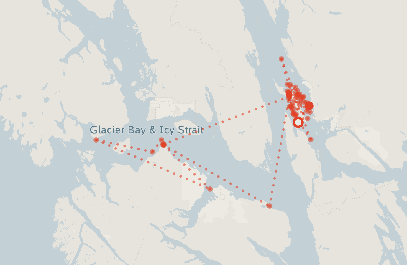 Activity map — real sighting points on an OpenStreetMap basemap