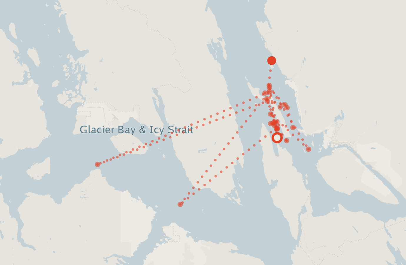Activity map — real sighting points on an OpenStreetMap basemap