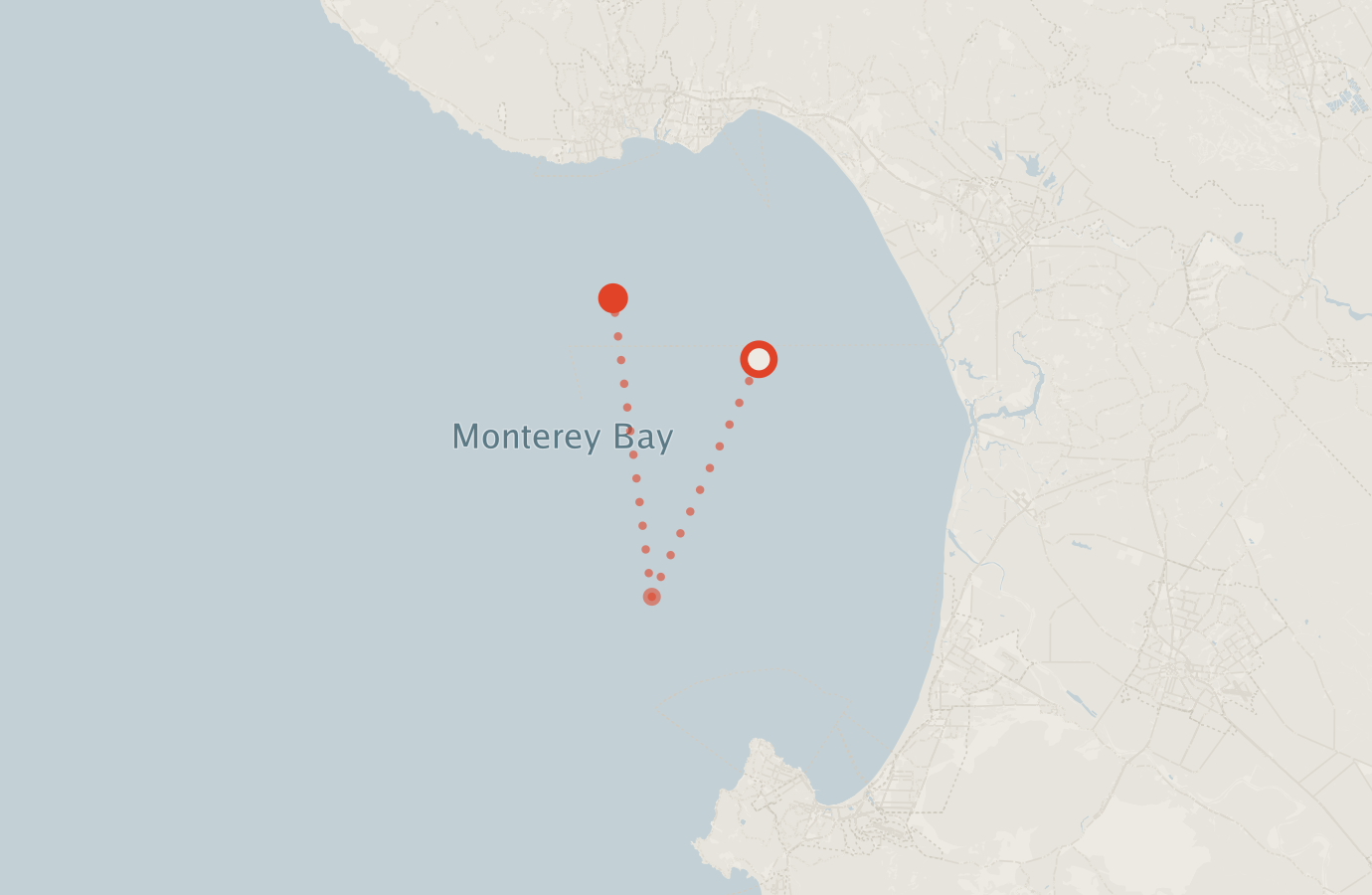 Activity map — real sighting points on an OpenStreetMap basemap