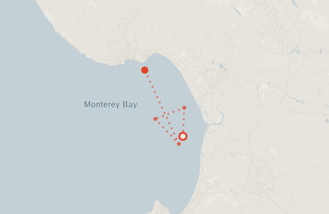 Activity map — real sighting points on an OpenStreetMap basemap