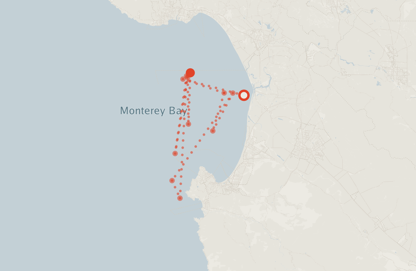 Activity map — real sighting points on an OpenStreetMap basemap