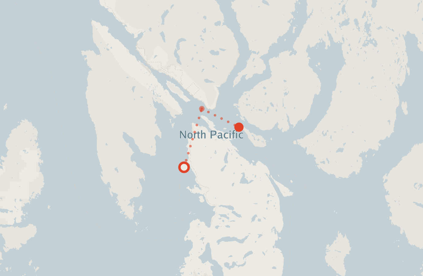 Activity map — real sighting points on an OpenStreetMap basemap