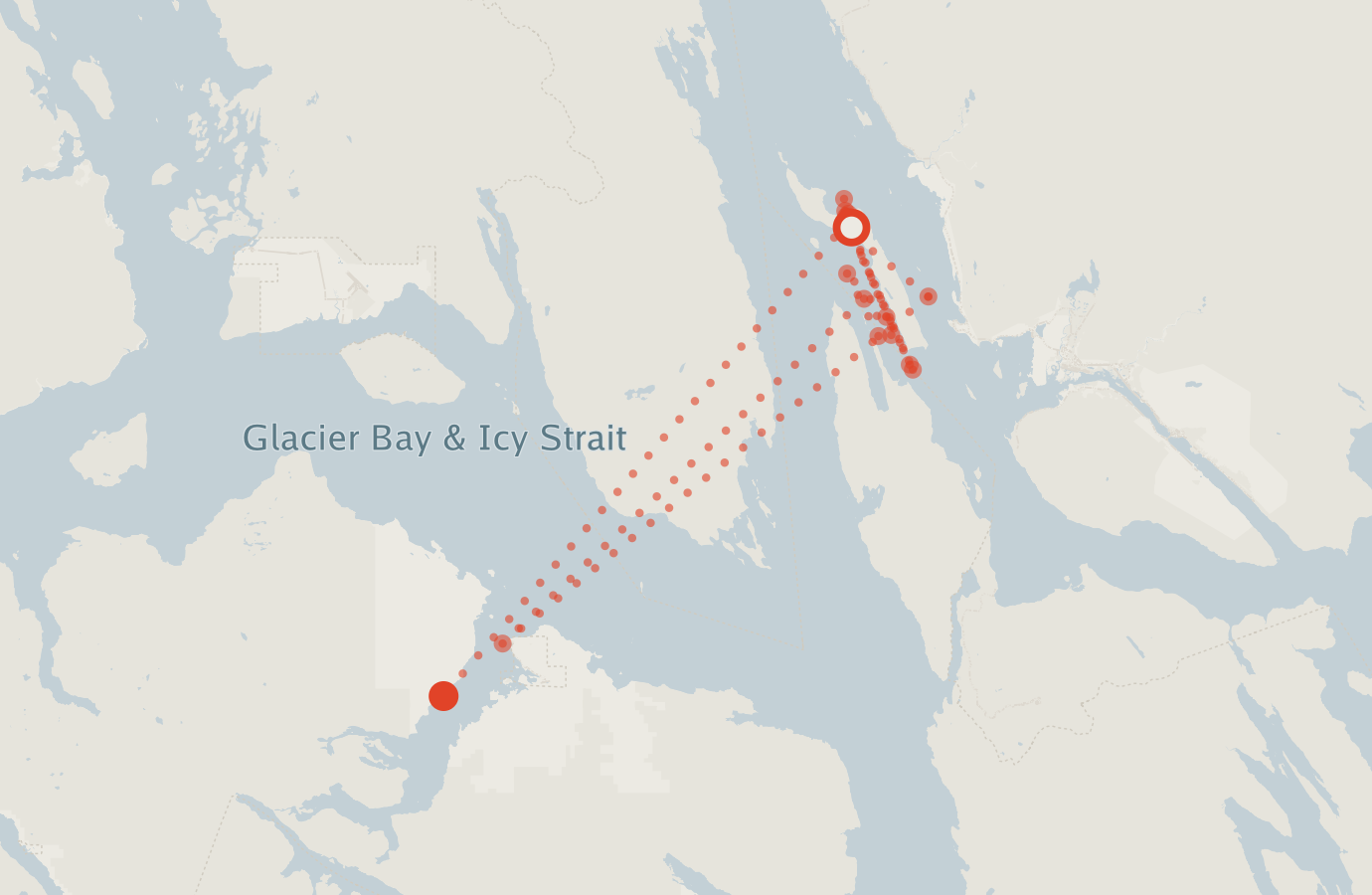 Activity map — real sighting points on an OpenStreetMap basemap