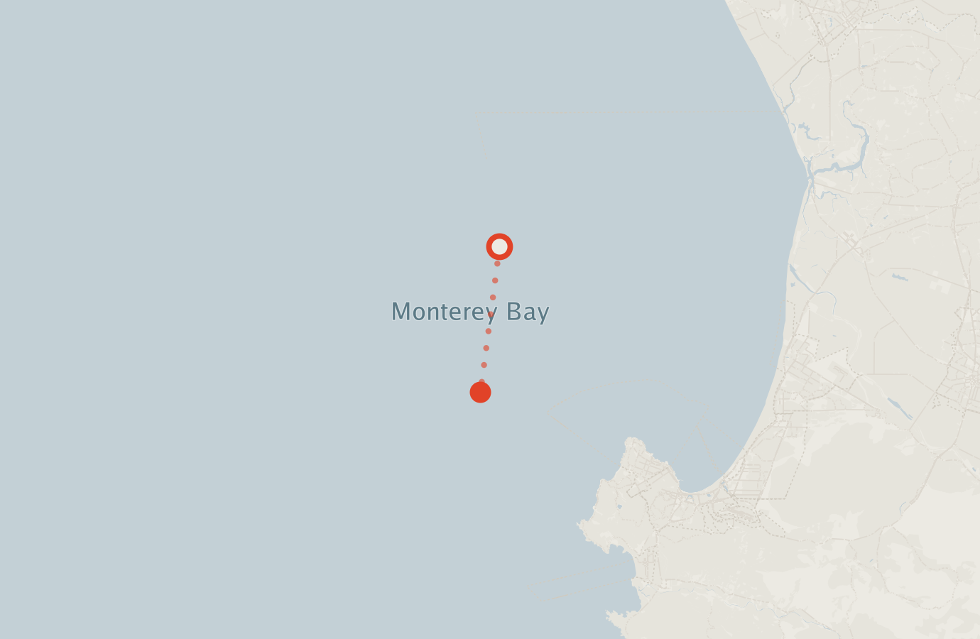 Activity map — real sighting points on an OpenStreetMap basemap