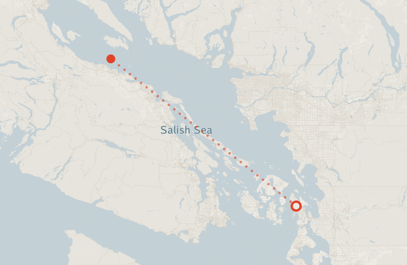 Activity map — real sighting points on an OpenStreetMap basemap