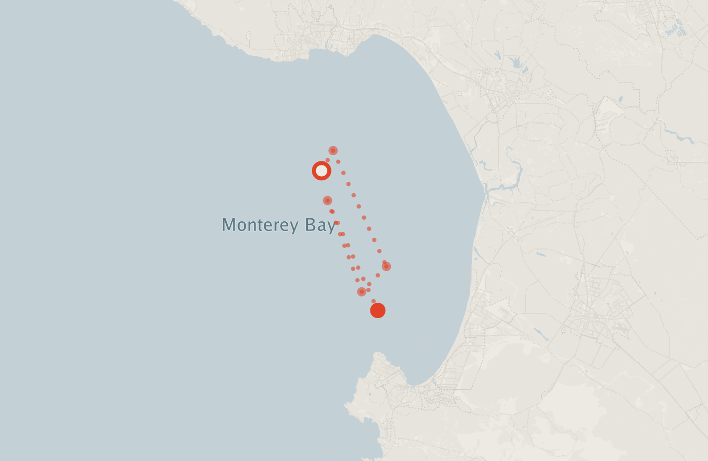 Activity map — real sighting points on an OpenStreetMap basemap