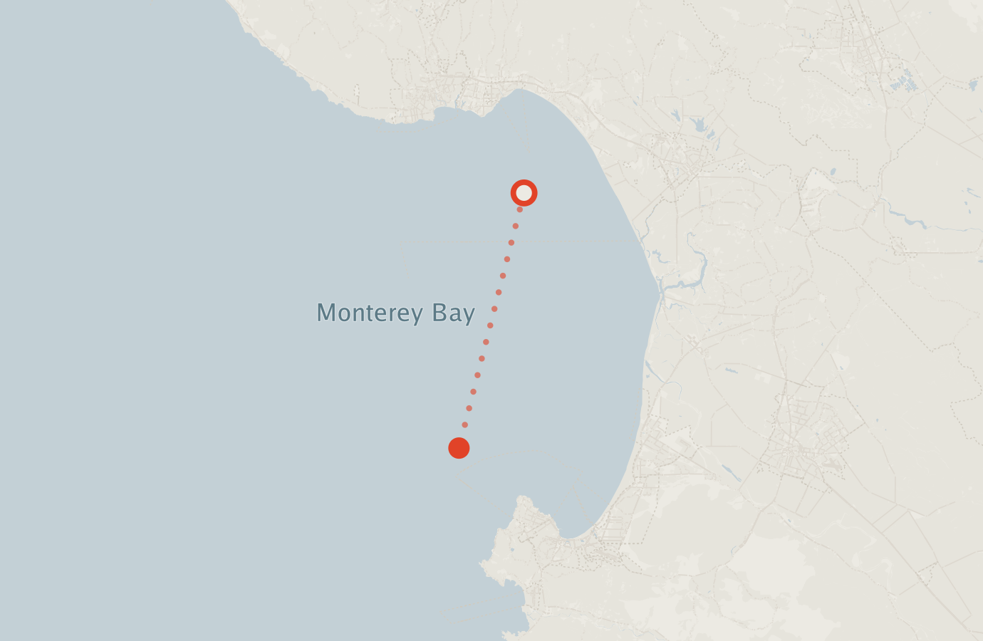 Activity map — real sighting points on an OpenStreetMap basemap