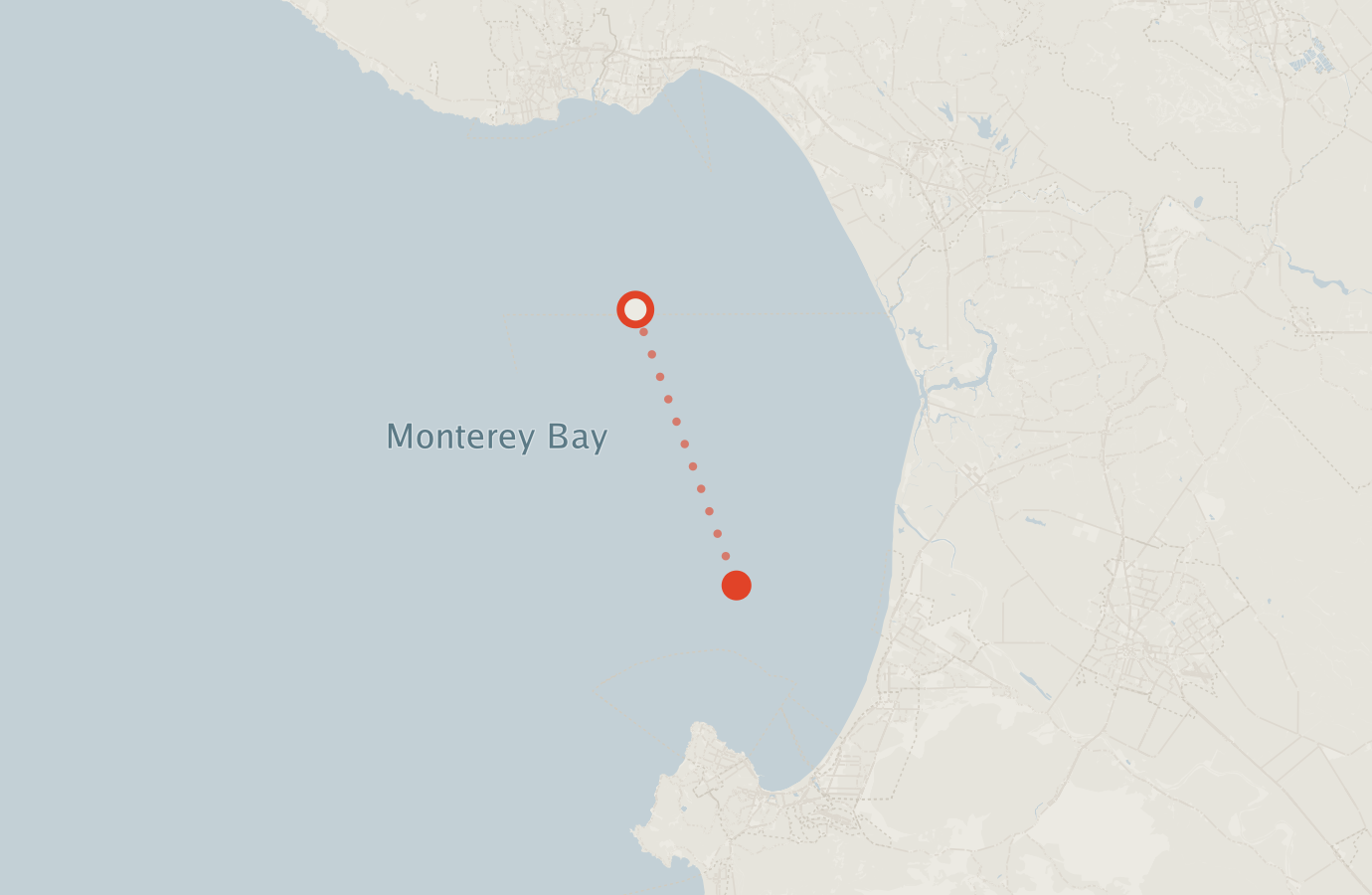 Activity map — real sighting points on an OpenStreetMap basemap