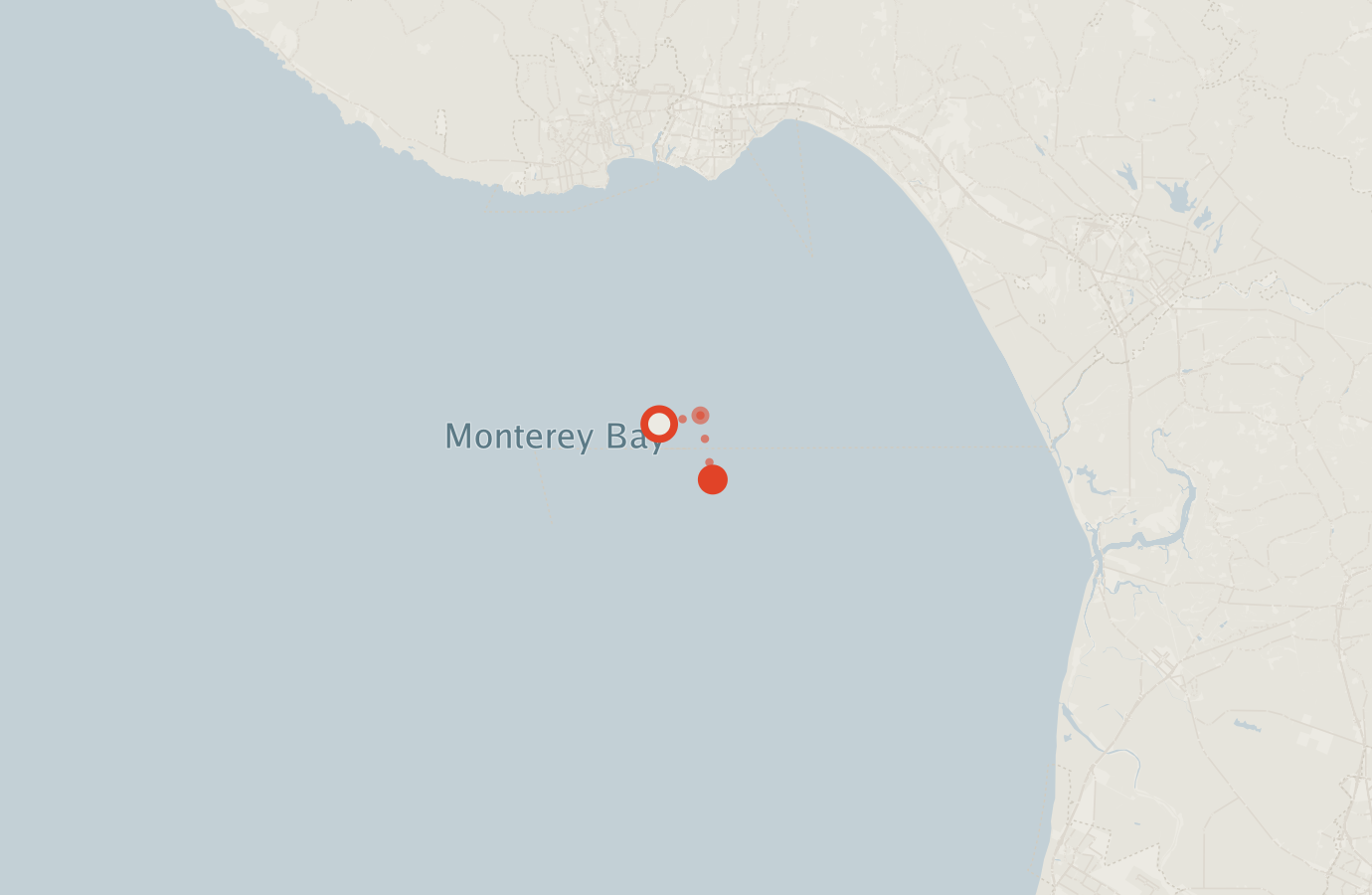Activity map — real sighting points on an OpenStreetMap basemap