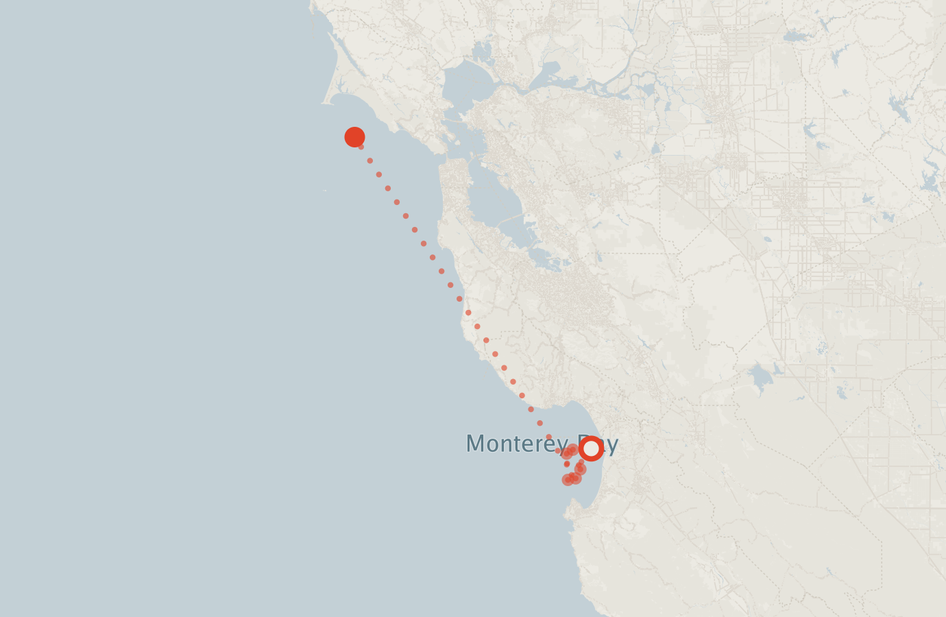 Activity map — real sighting points on an OpenStreetMap basemap