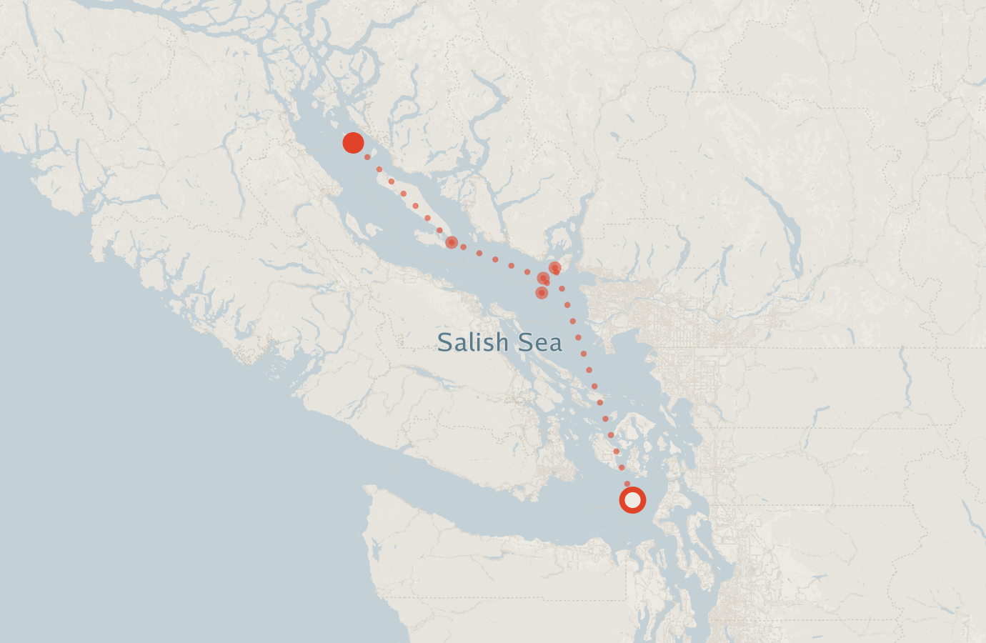 Activity map — real sighting points on an OpenStreetMap basemap