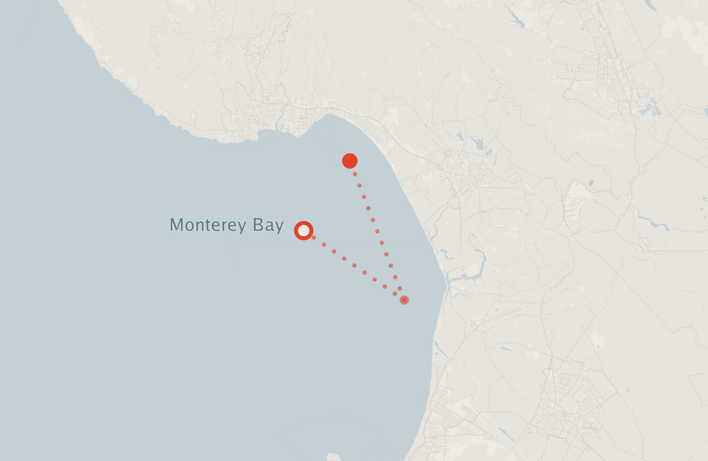 Activity map — real sighting points on an OpenStreetMap basemap
