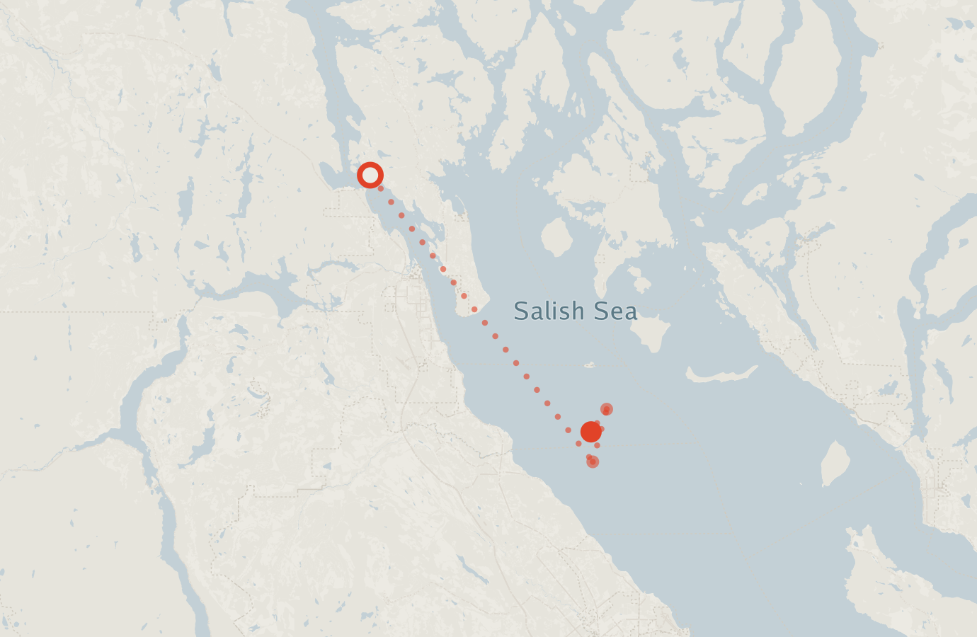 Activity map — real sighting points on an OpenStreetMap basemap