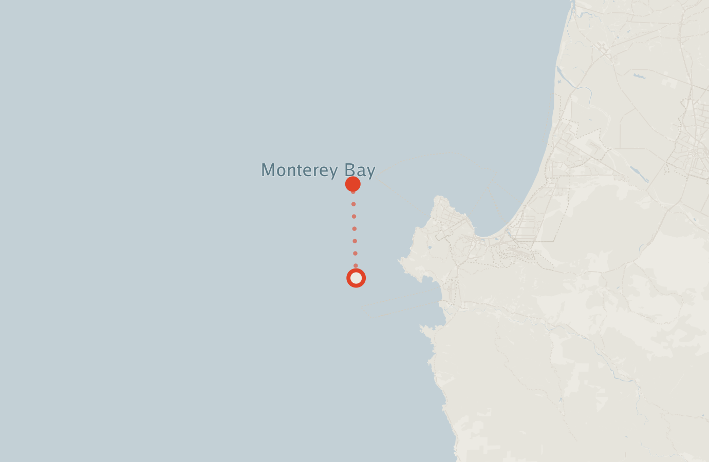 Activity map — real sighting points on an OpenStreetMap basemap