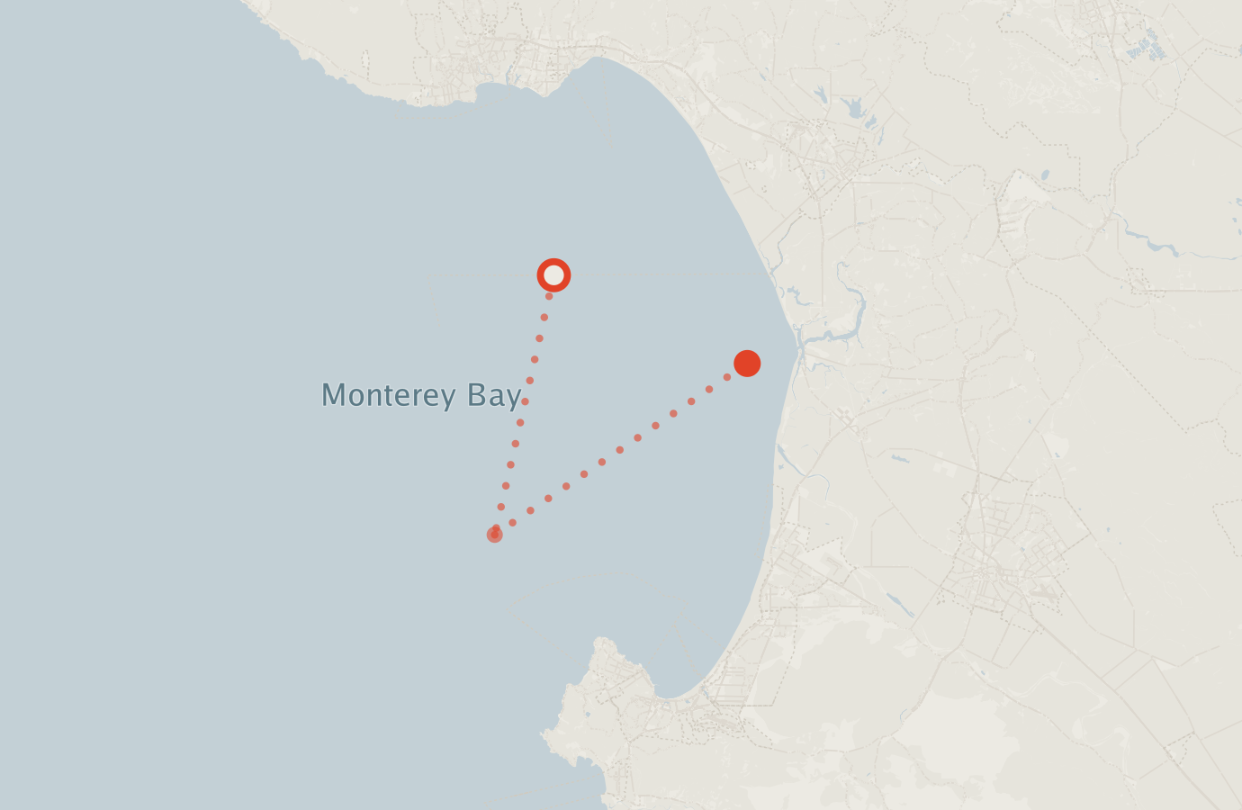 Activity map — real sighting points on an OpenStreetMap basemap