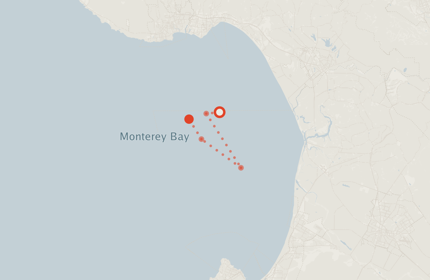 Activity map — real sighting points on an OpenStreetMap basemap