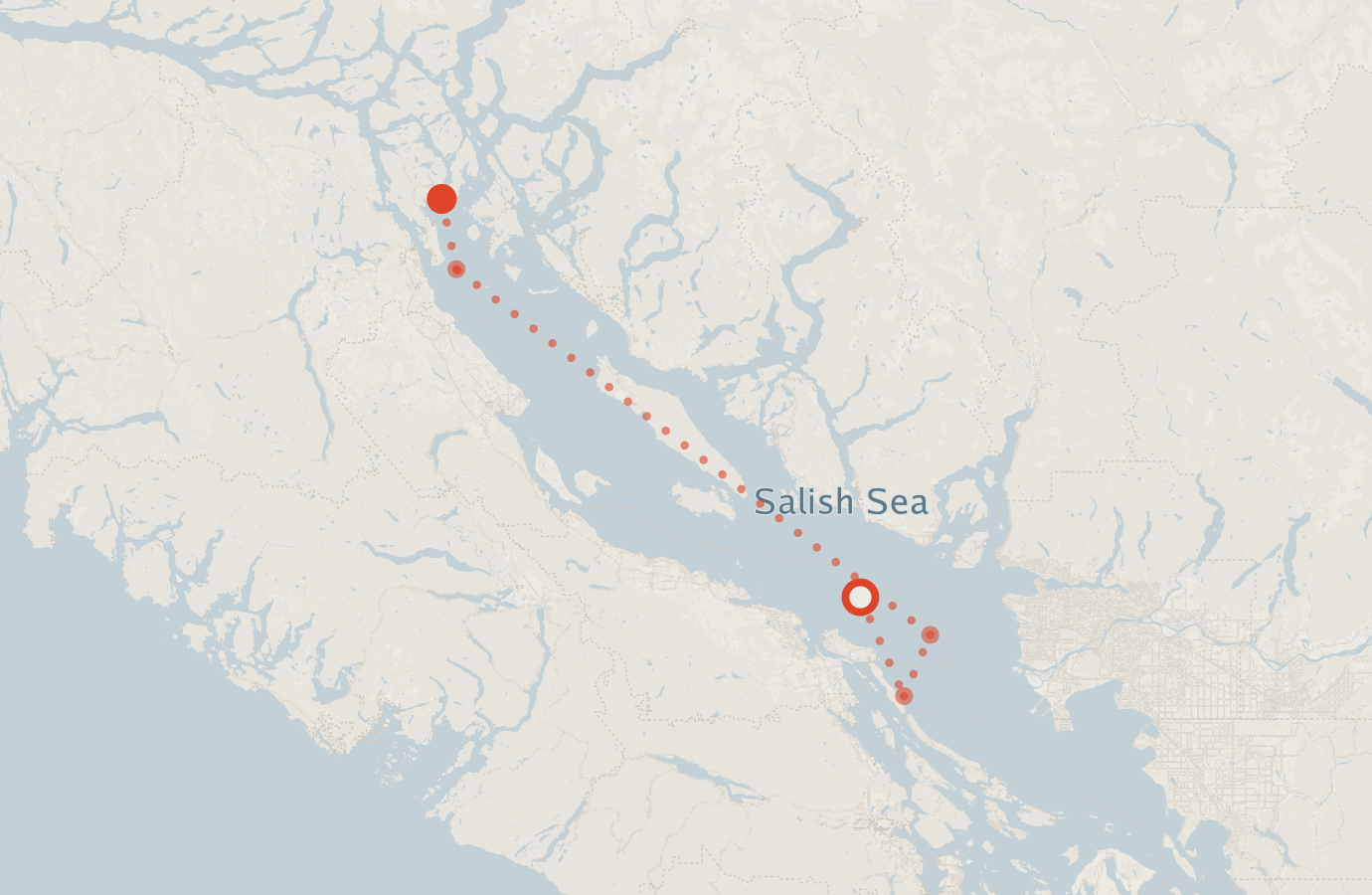 Activity map — real sighting points on an OpenStreetMap basemap