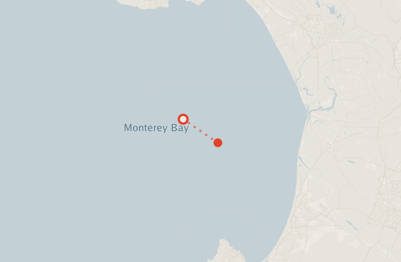 Activity map — real sighting points on an OpenStreetMap basemap