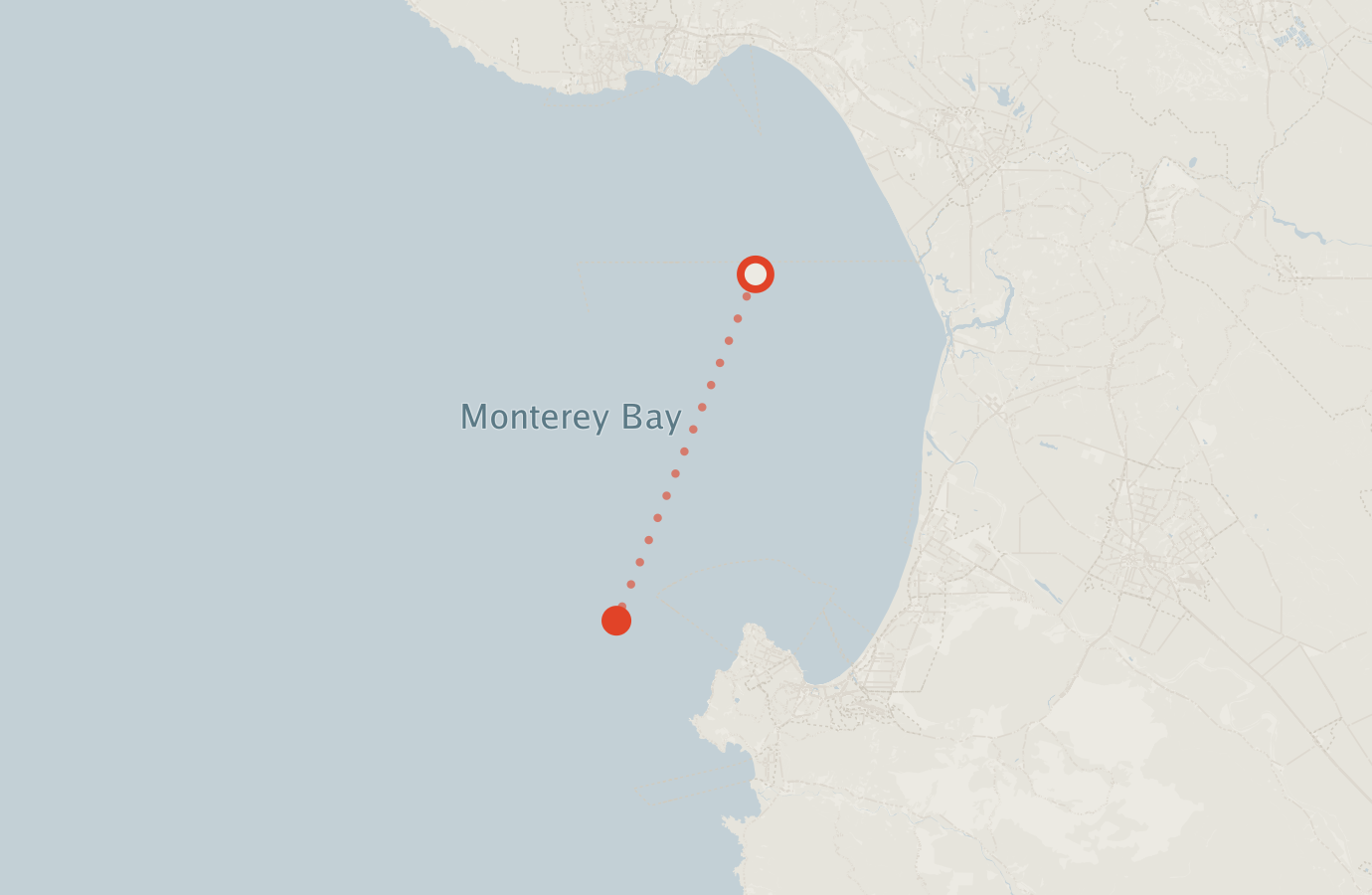 Activity map — real sighting points on an OpenStreetMap basemap