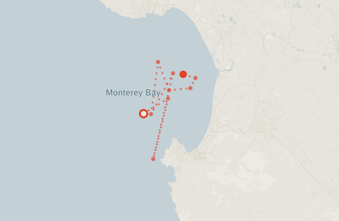 Activity map — real sighting points on an OpenStreetMap basemap