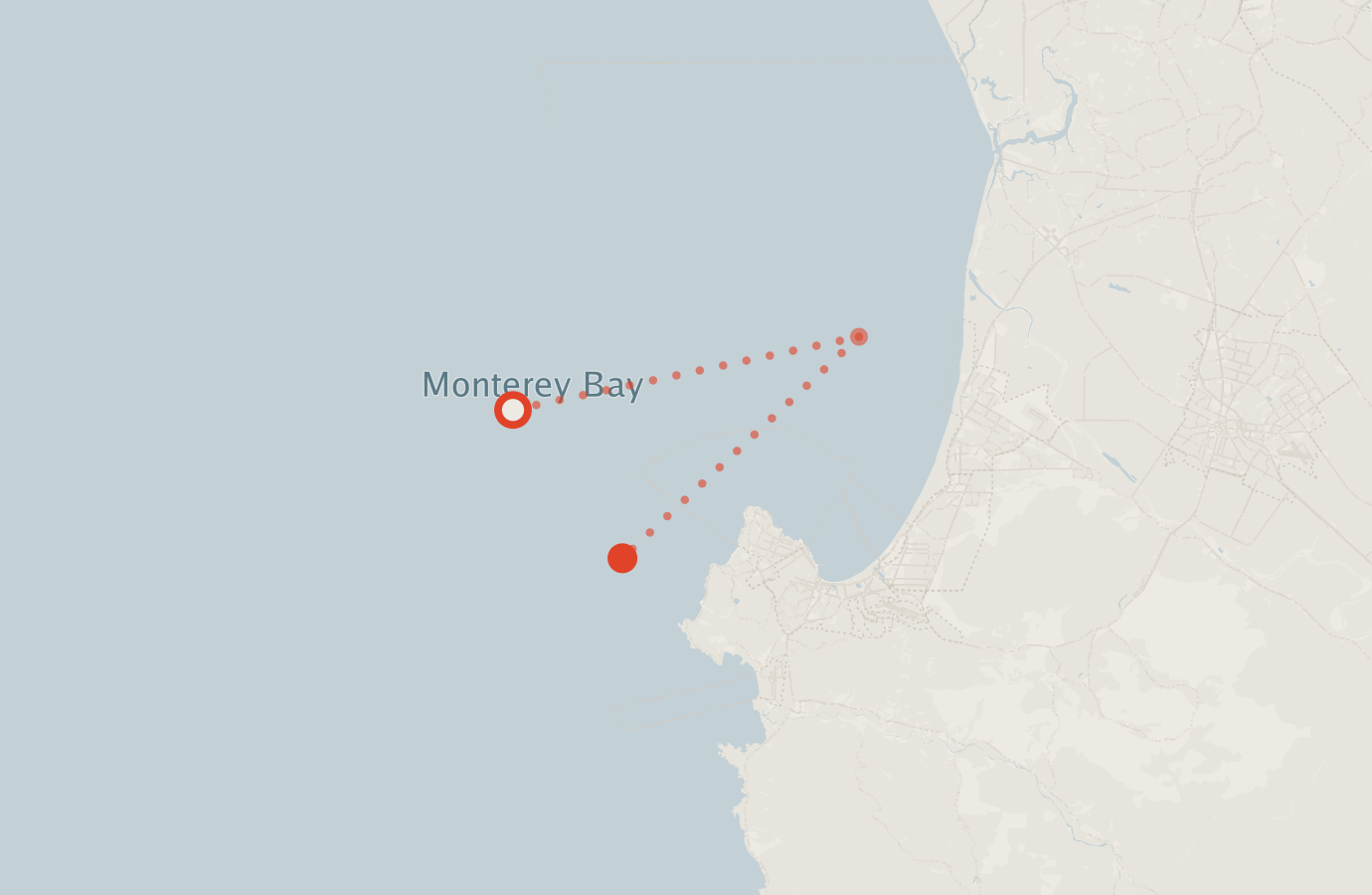 Activity map — real sighting points on an OpenStreetMap basemap