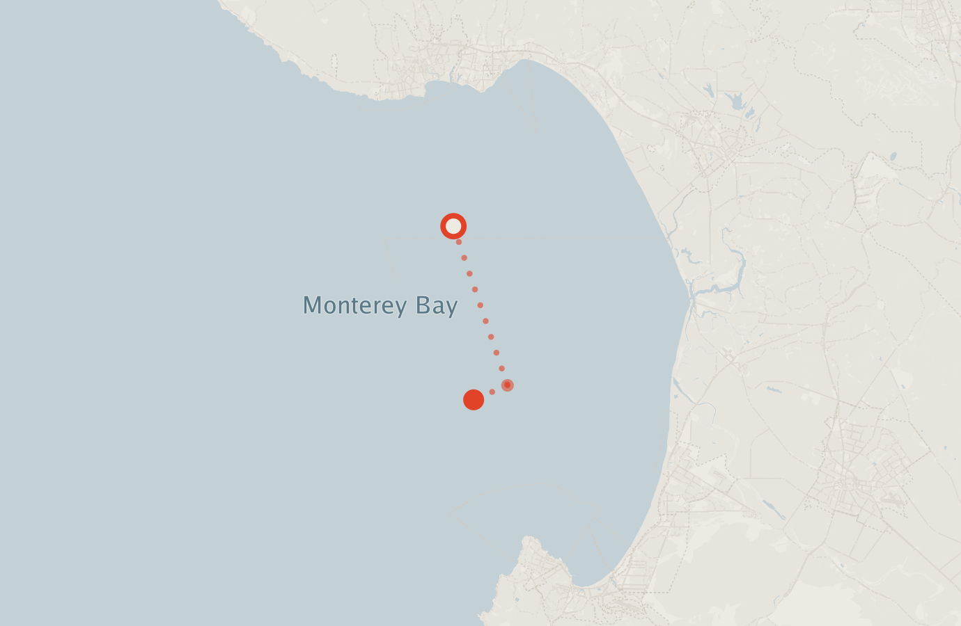 Activity map — real sighting points on an OpenStreetMap basemap