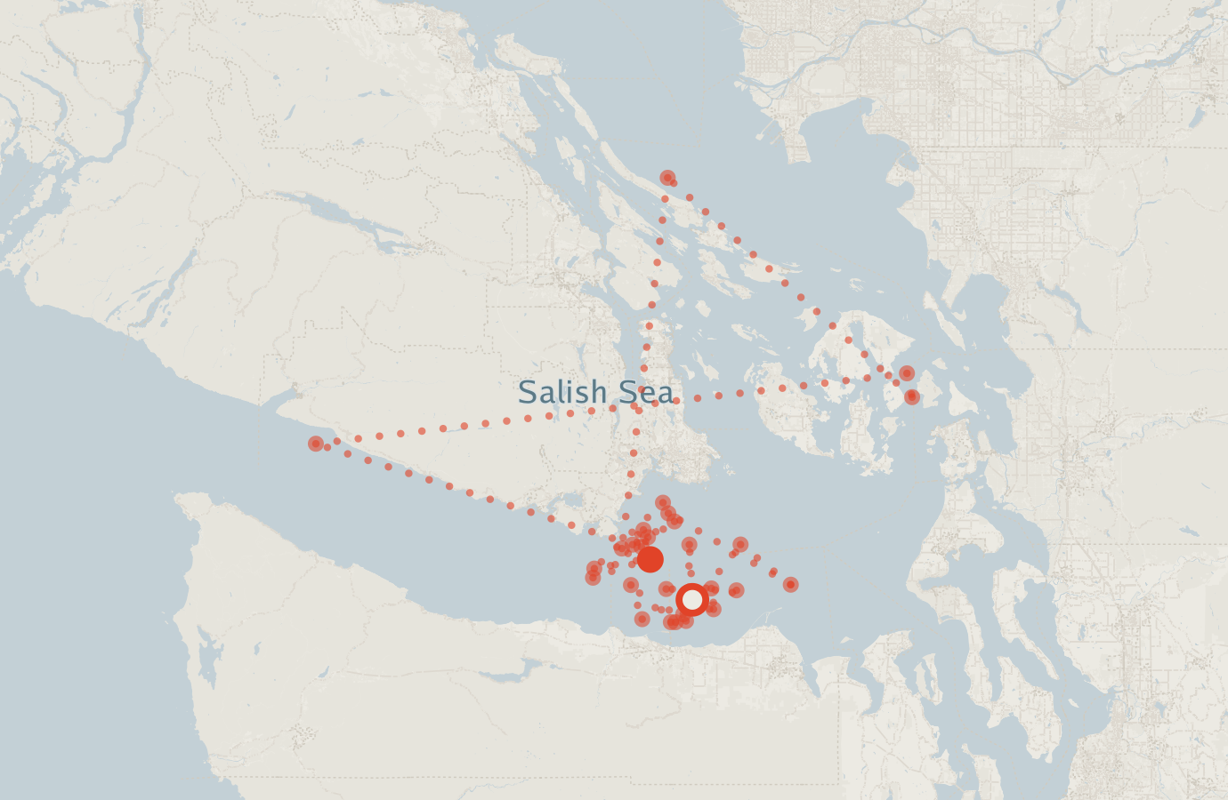 Activity map — real sighting points on an OpenStreetMap basemap