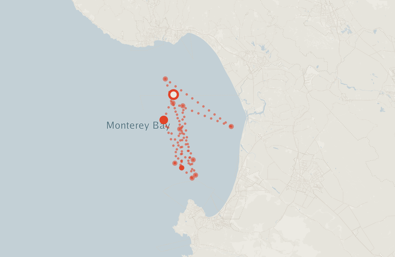 Activity map — real sighting points on an OpenStreetMap basemap