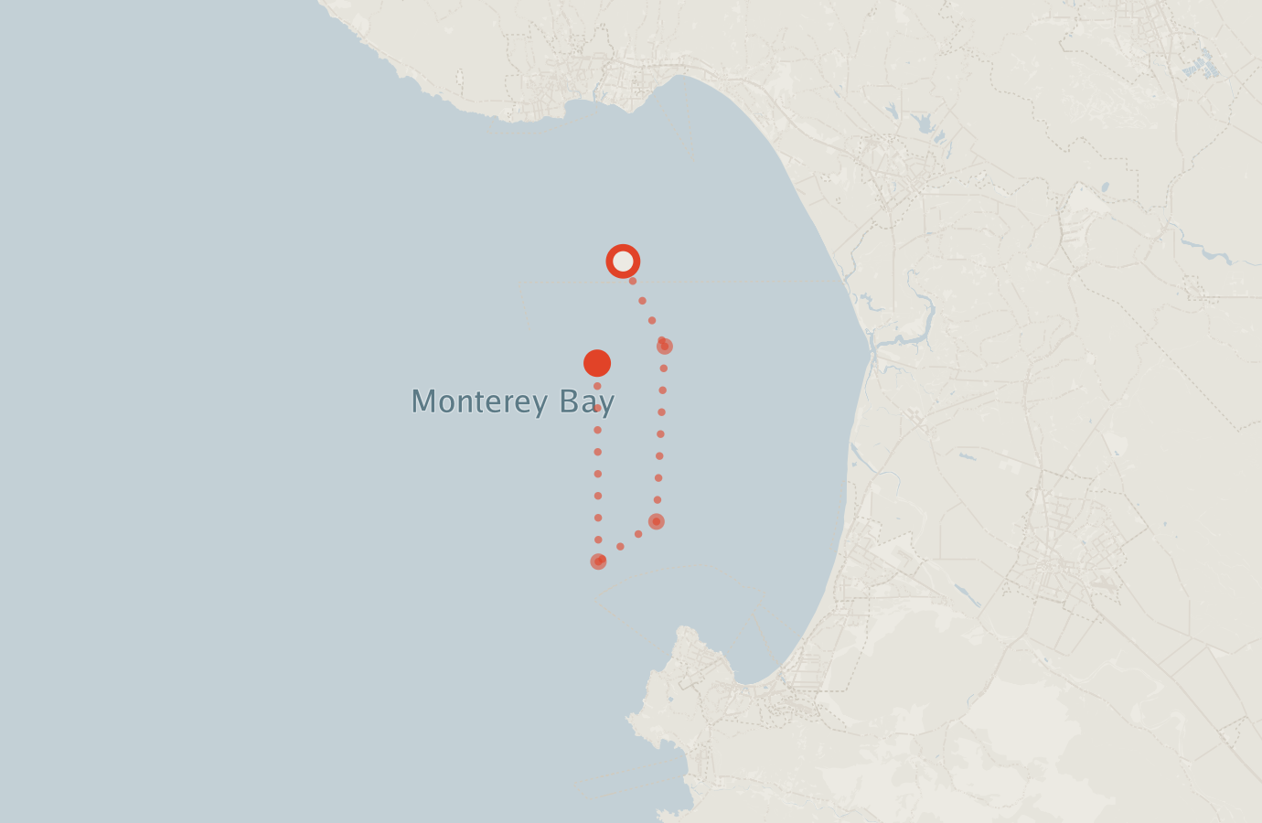 Activity map — real sighting points on an OpenStreetMap basemap