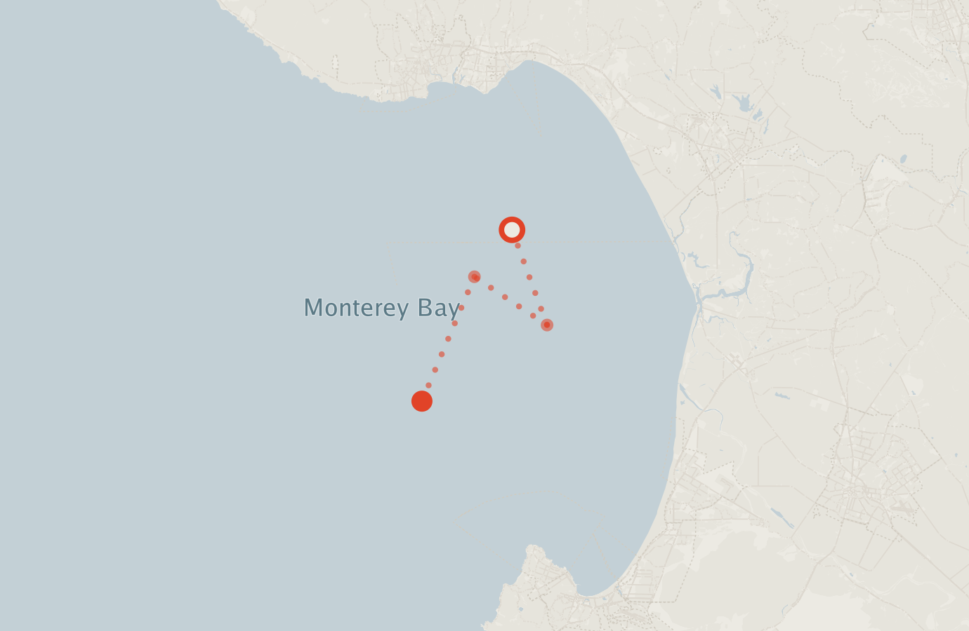 Activity map — real sighting points on an OpenStreetMap basemap