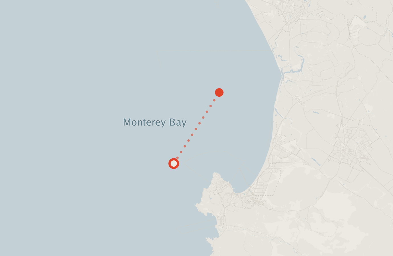 Activity map — real sighting points on an OpenStreetMap basemap