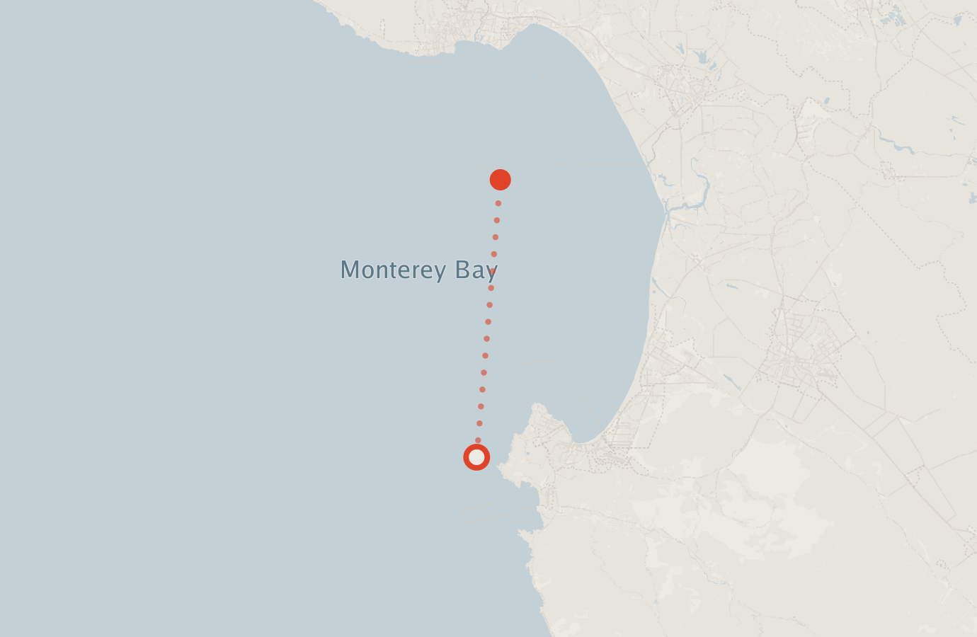 Activity map — real sighting points on an OpenStreetMap basemap