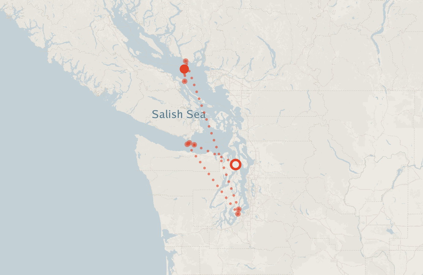 Activity map — real sighting points on an OpenStreetMap basemap