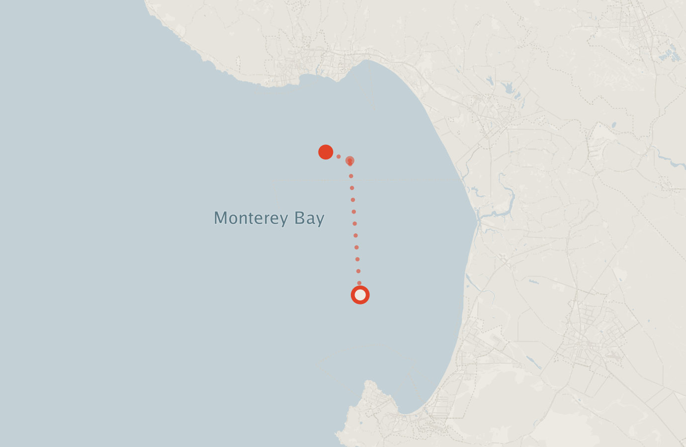 Activity map — real sighting points on an OpenStreetMap basemap