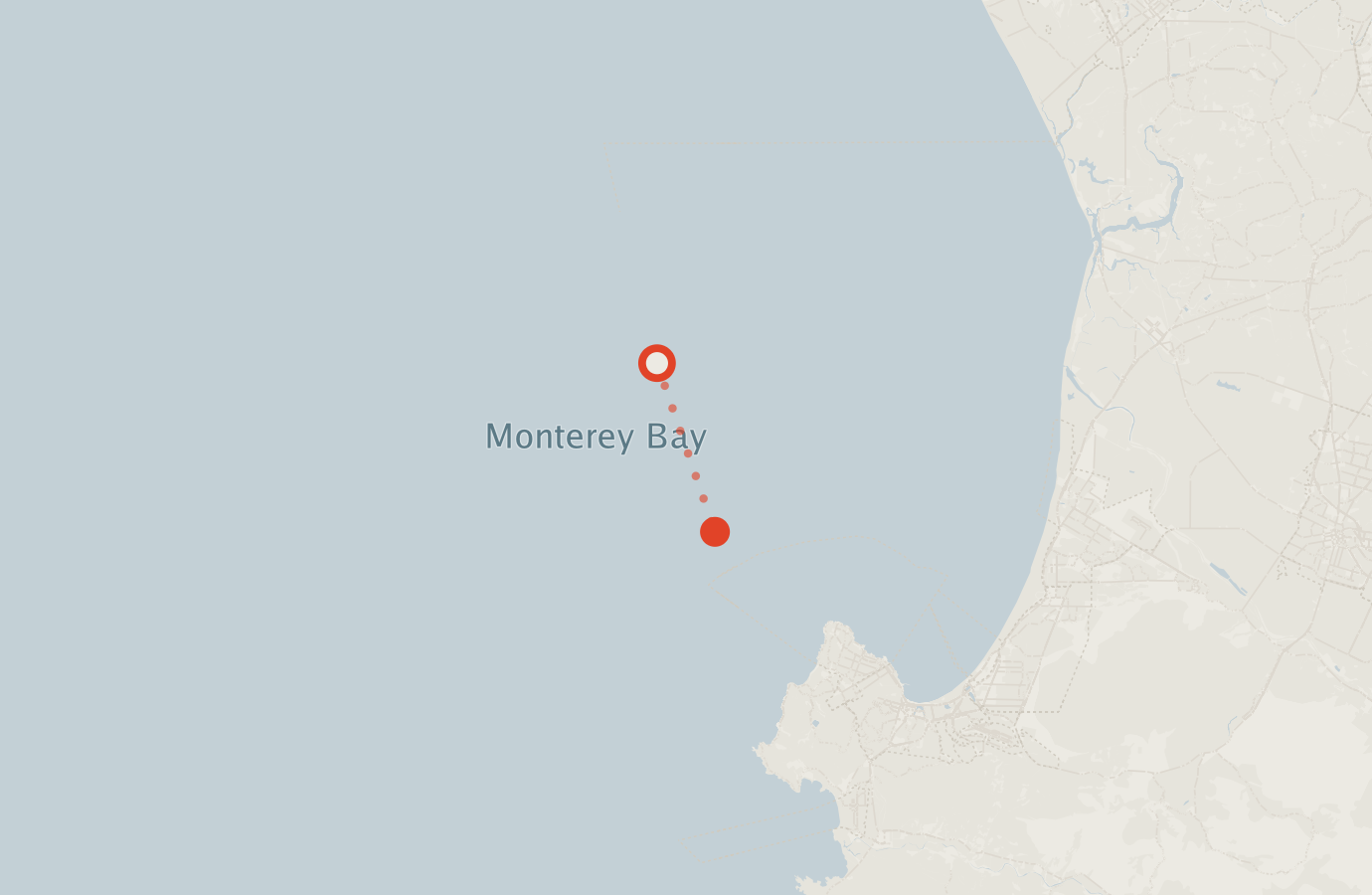 Activity map — real sighting points on an OpenStreetMap basemap