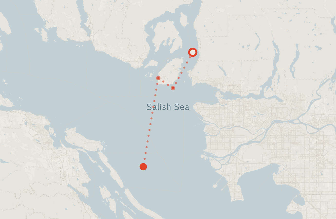 Activity map — real sighting points on an OpenStreetMap basemap