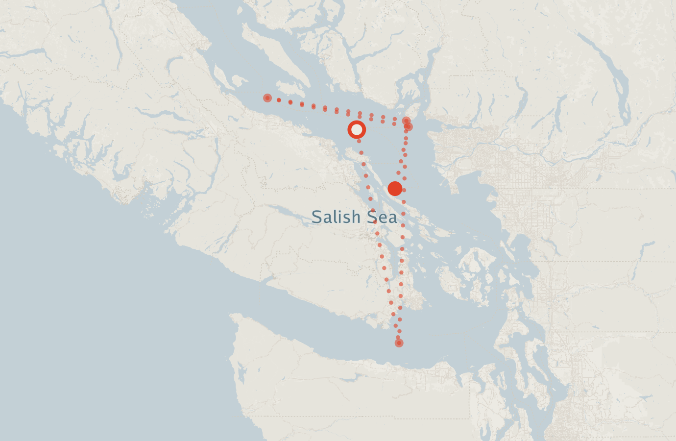 Activity map — real sighting points on an OpenStreetMap basemap