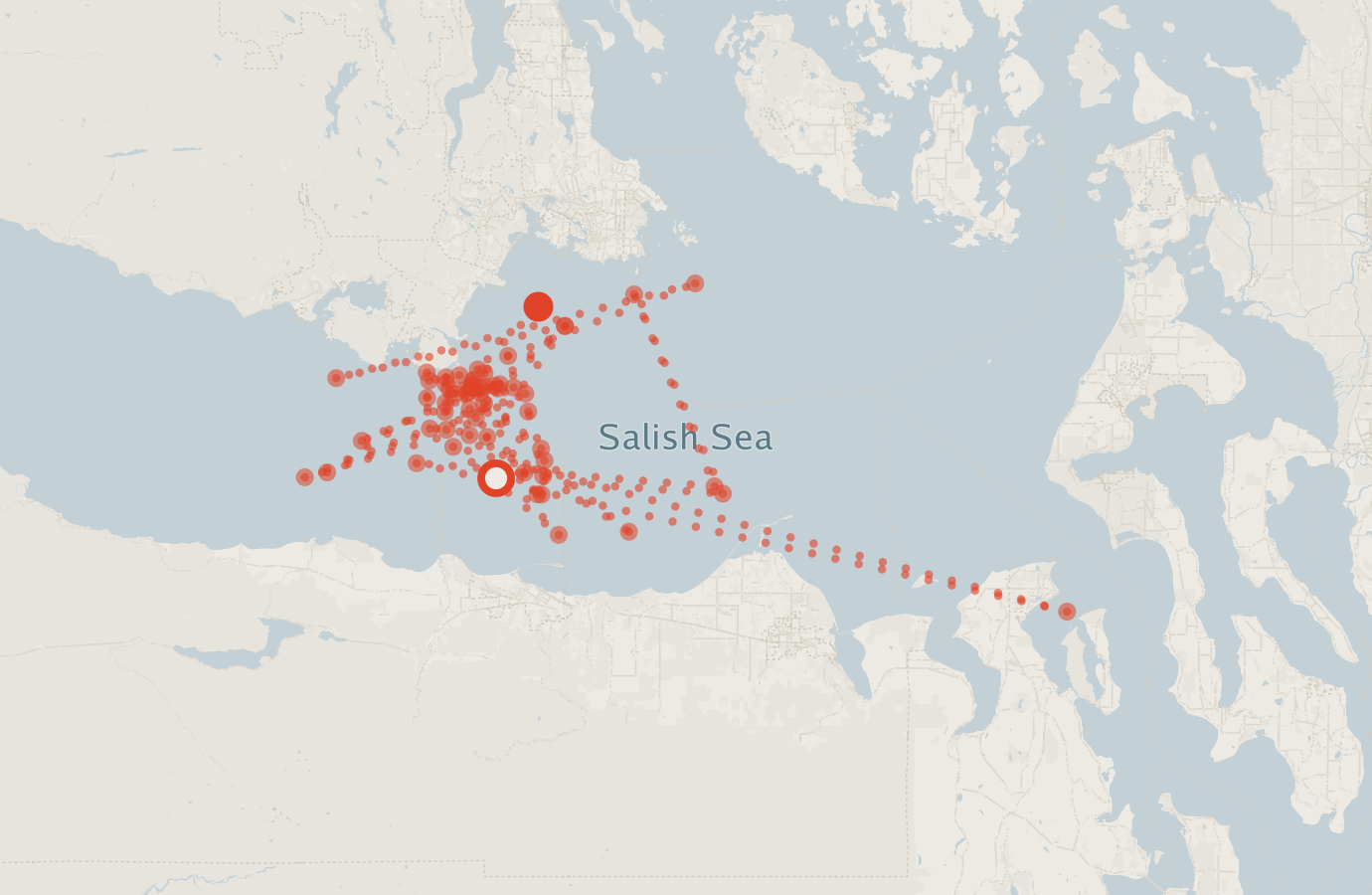 Activity map — real sighting points on an OpenStreetMap basemap