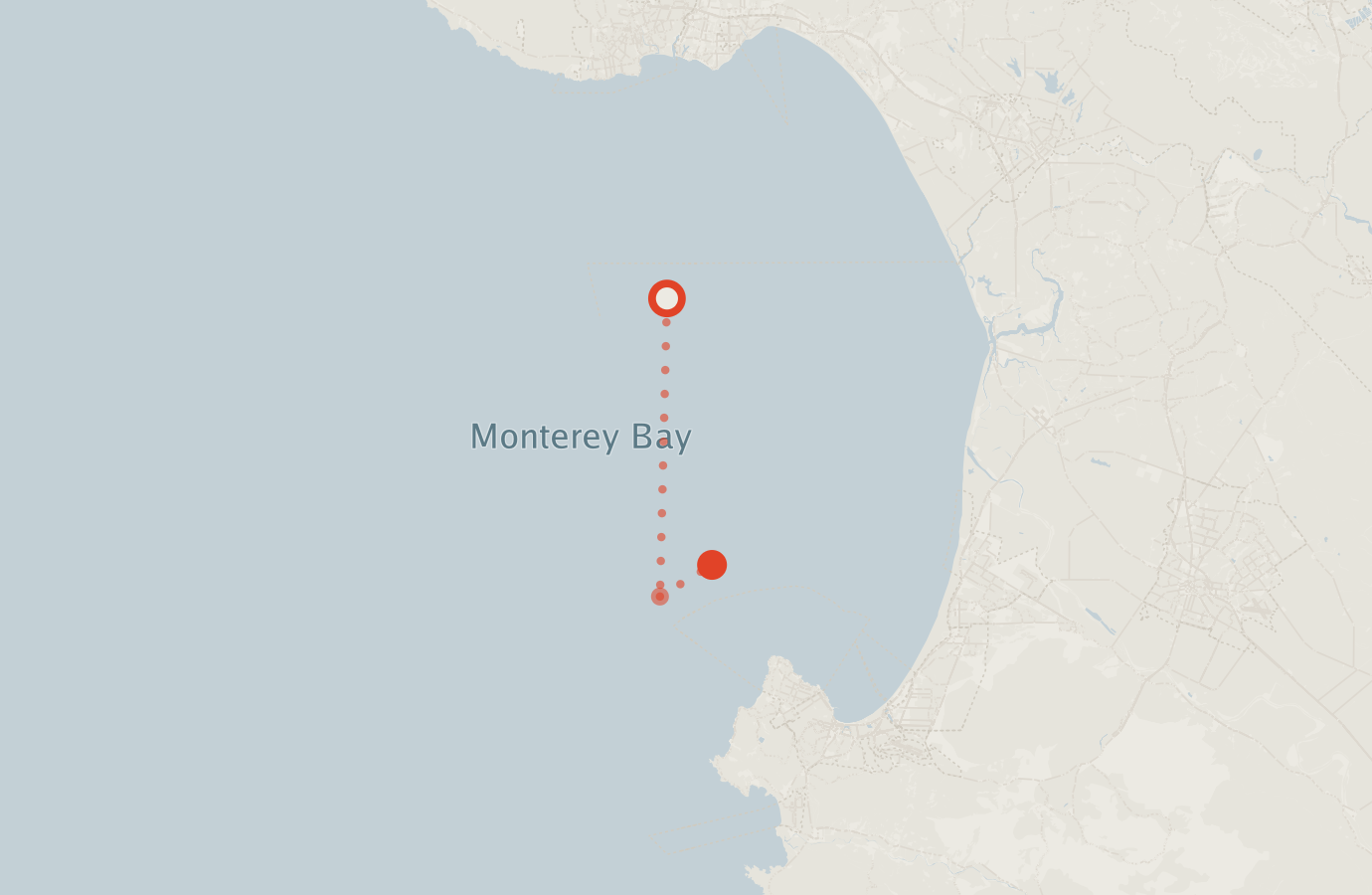 Activity map — real sighting points on an OpenStreetMap basemap