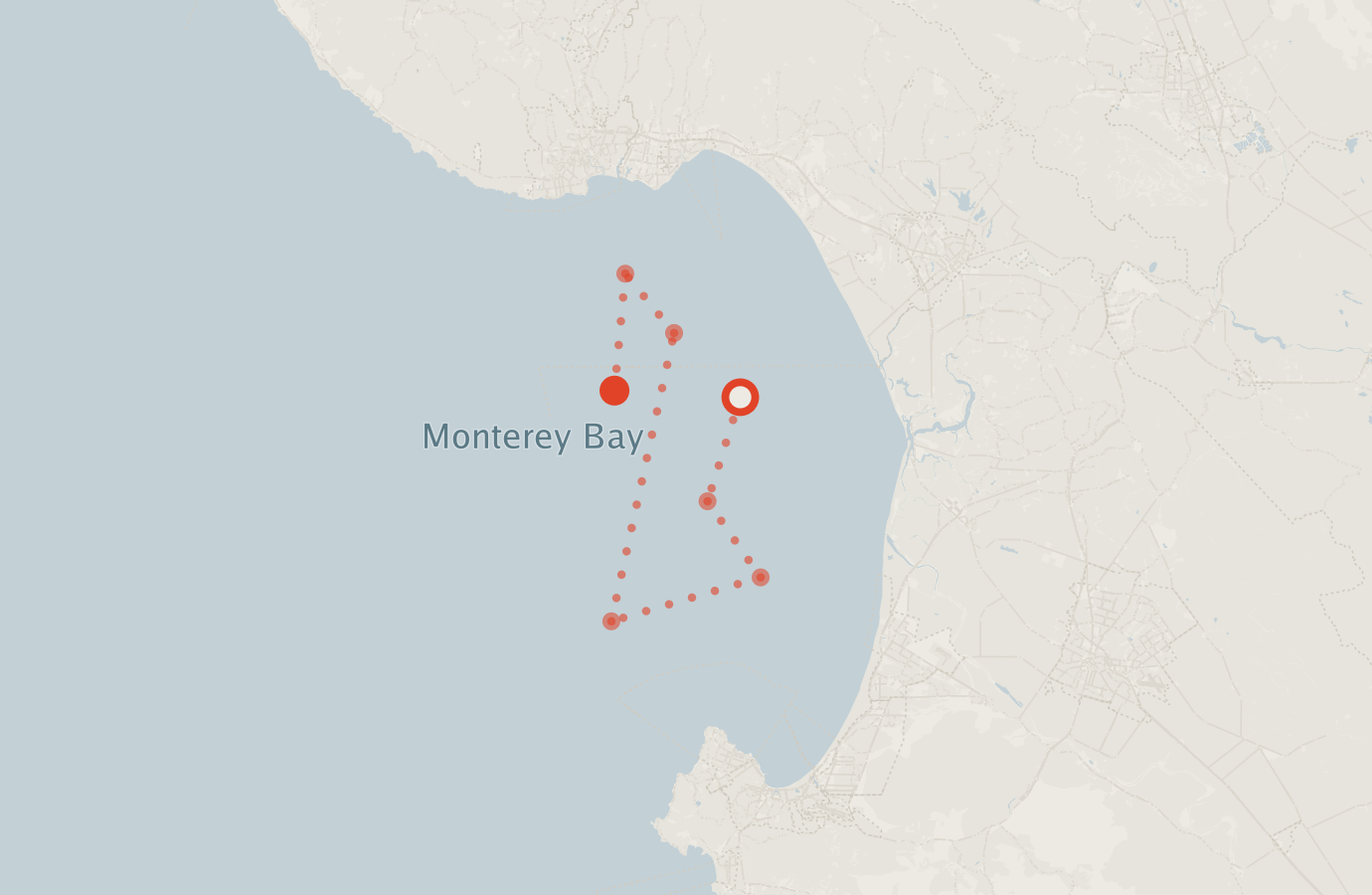 Activity map — real sighting points on an OpenStreetMap basemap