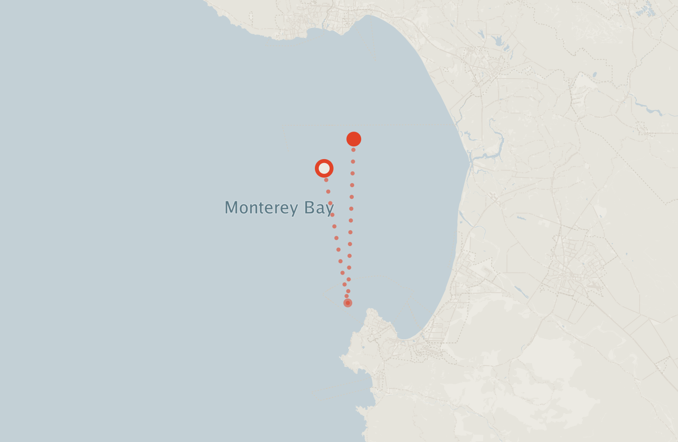 Activity map — real sighting points on an OpenStreetMap basemap