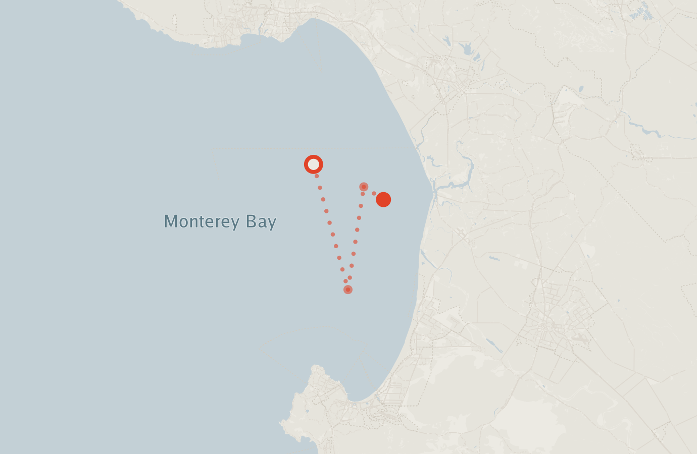Activity map — real sighting points on an OpenStreetMap basemap
