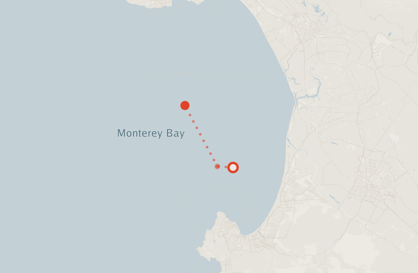Activity map — real sighting points on an OpenStreetMap basemap