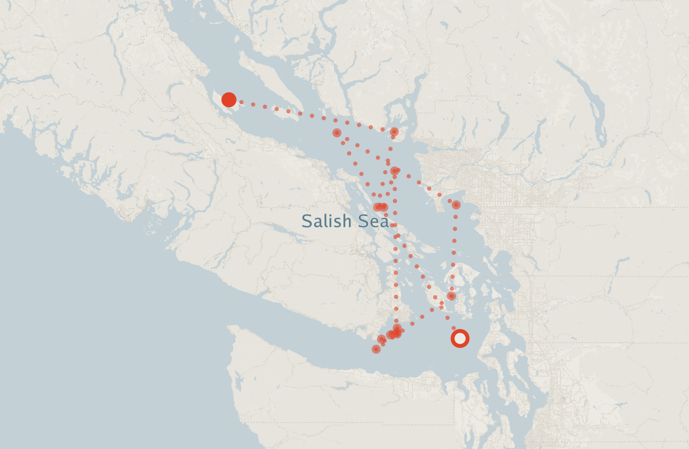 Activity map — real sighting points on an OpenStreetMap basemap