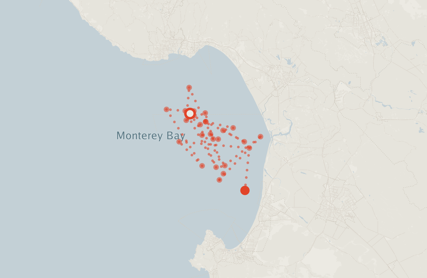 Activity map — real sighting points on an OpenStreetMap basemap