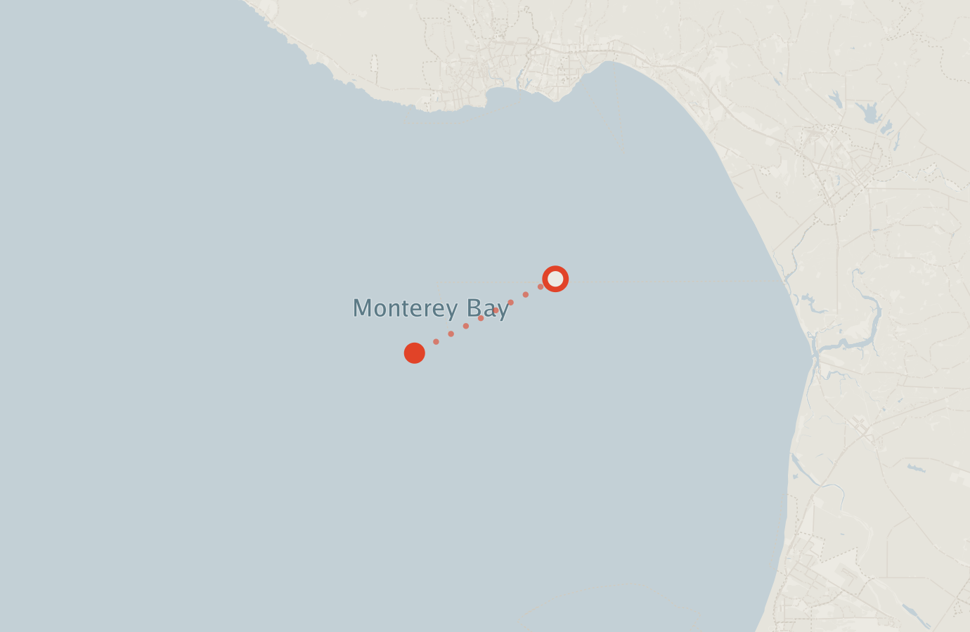 Activity map — real sighting points on an OpenStreetMap basemap